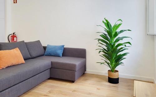 Instalaciones, Casa João de Quintal (Casa Joao de Quintal) in Elvas