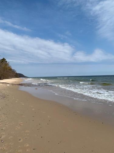 Ravlunda Bränneri (Ravlunda Branneri) in 심믈시함