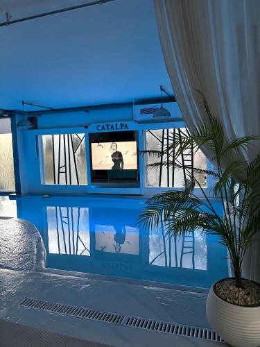 sala de TV, Catalpa in Zahle