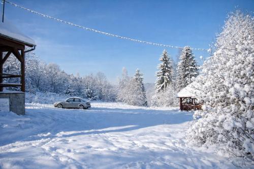 Everwood Lodge, Transylvania in Sub Cetate