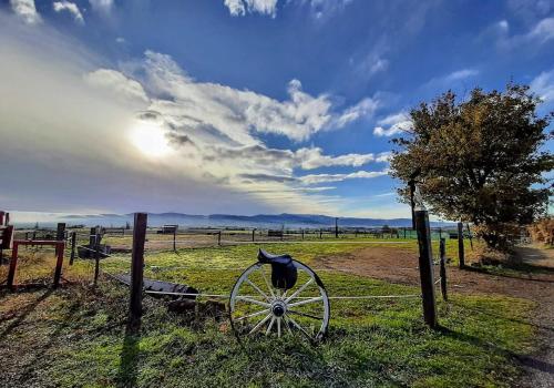 Duplex calme, vue chevaux et montagnes - Chabanière