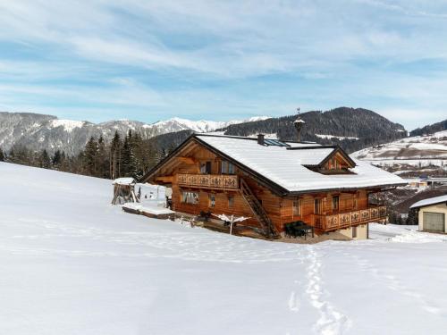 Villa on a courtyard near the ski area in Salzburg Eben im Pongau