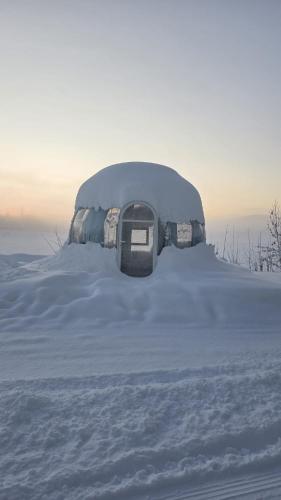 The Arctic and Aurora Luxury Lakehouse in Chena (AK)