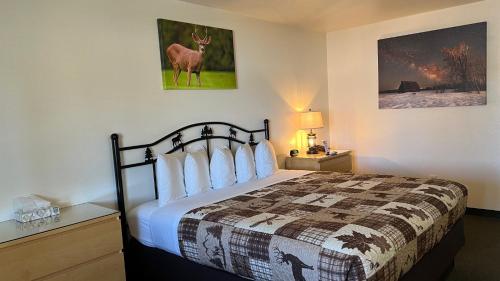 1 king bed