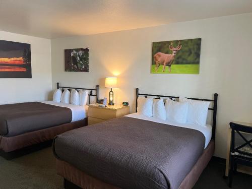 2 queen beds