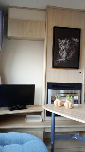 Twee slaapkamer stacaravan met vissteiger in 亨厄洛