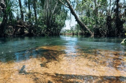 Coconut Lodge in Drysdale River