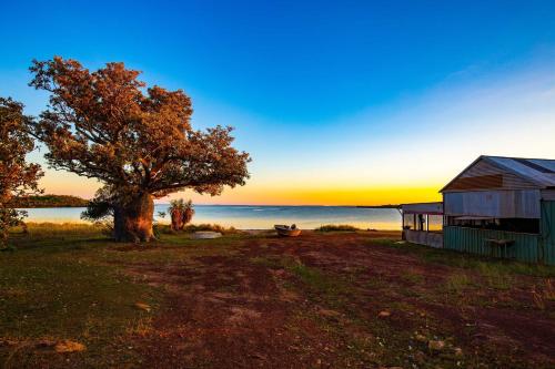 Coconut Lodge in Drysdale River