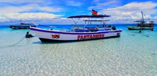 Wasini dolphin adventure in Shimoni