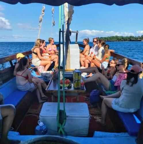 Wasini dolphin adventure in Shimoni