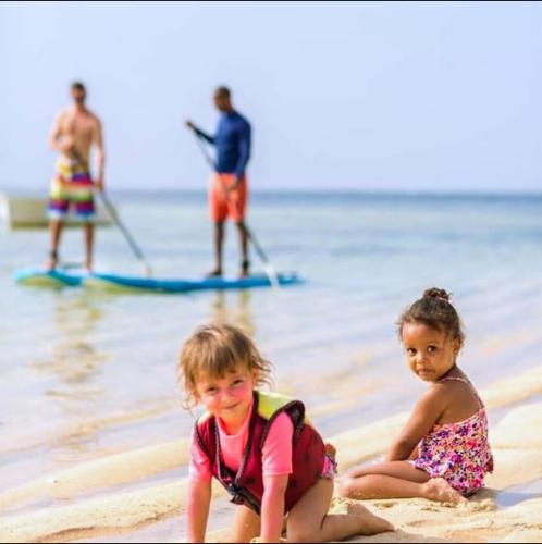 Wasini dolphin adventure in Shimoni