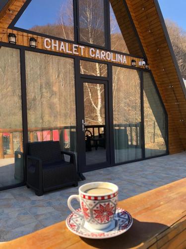 Chalet Carolina in Godeanu