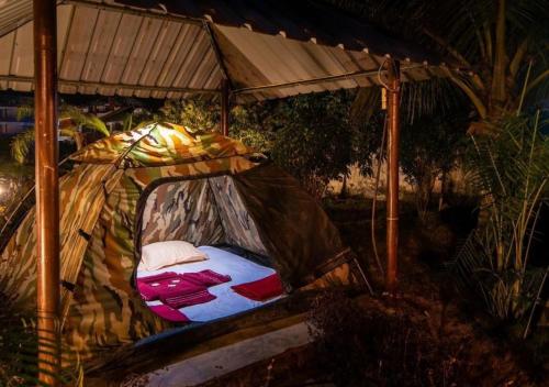 Dandeli Jungle Inn Resort