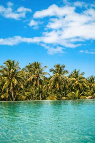 Cozy Roots Fuvahmulah in Gnaviyani Atoll