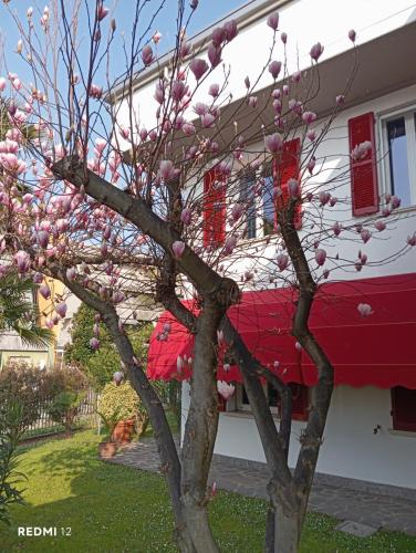 BF SUITE Foresteria Bellusci - Bollate