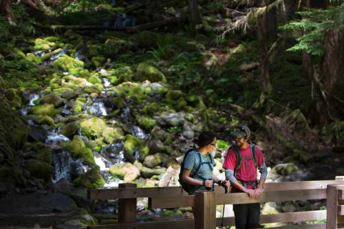 Sol Duc Hot Springs Resort - 주변 환경