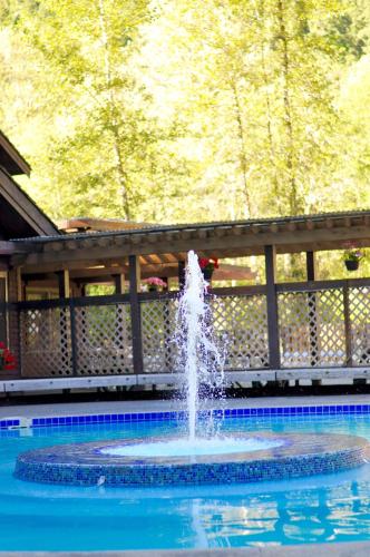 Sol Duc Hot Springs Resort - 수영장