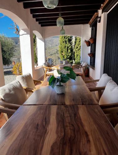 Villa Trompetilla & Casa Cactus Luxury Wellness Villa with Pool, Yoga Studio & Hammam for 20p in Mon in Montes de Malaga