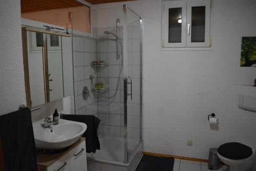 Badkamer, Familienfreundliche Ferienwohnung in Grasellenbach