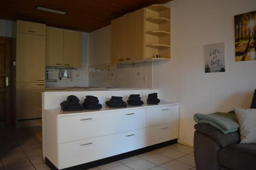 Familienfreundliche Ferienwohnung in Grasellenbach