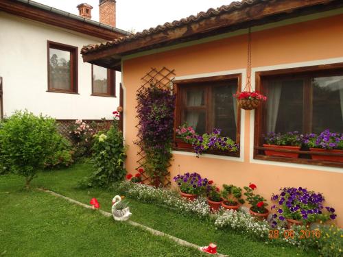 Bobi Guest House - image 7