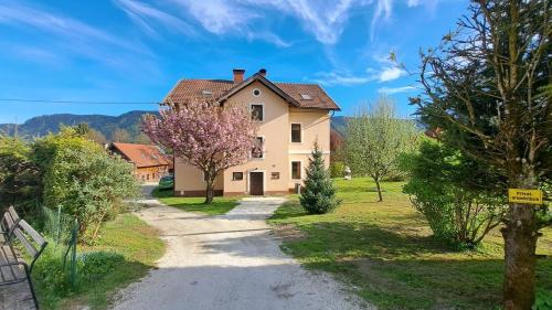 Apartment Rosi mit Balkon in Seenähe