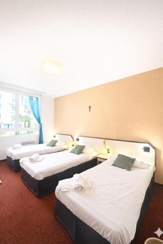 Hôtel Myosotis - image 11