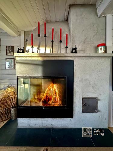 設施, Classic mountain cabin with sauna in Ustaoset in 於斯塔奧瑟特