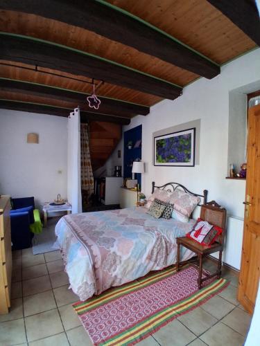 Chambre spacieuse dans joli village alsacien - Ribeauville