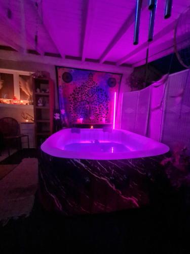 Hot tub, Les cedres bleus in Saint-Médard-de-Mussidan