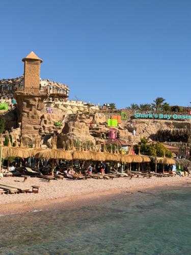 sharks bay oasis aqua park in 沙姆沙伊赫