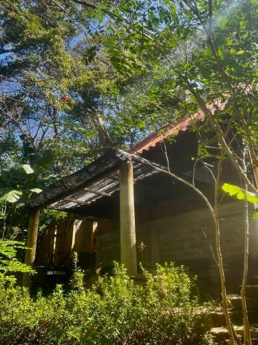 Jungle Surf Shack at Playa Maderas in Playa Maderas