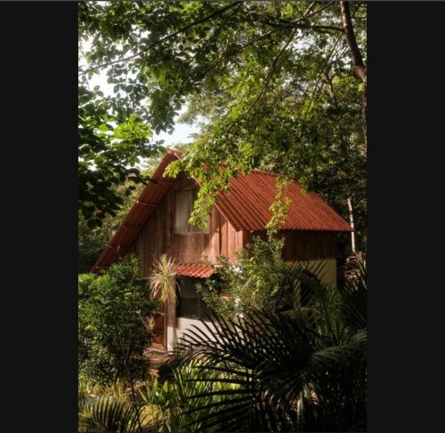 Jungle Surf Shack at Playa Maderas in Playa Maderas