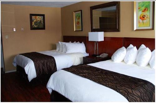 2 queen beds