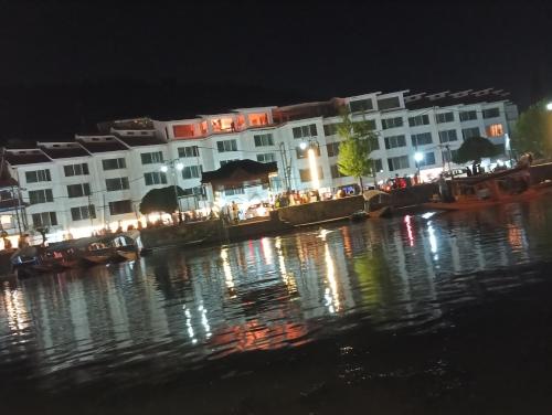 New shalimar dal view photo 3