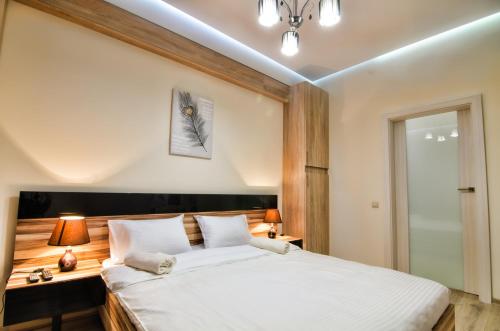 Apartments Arkadija-Tsekhova 1 - image 7
