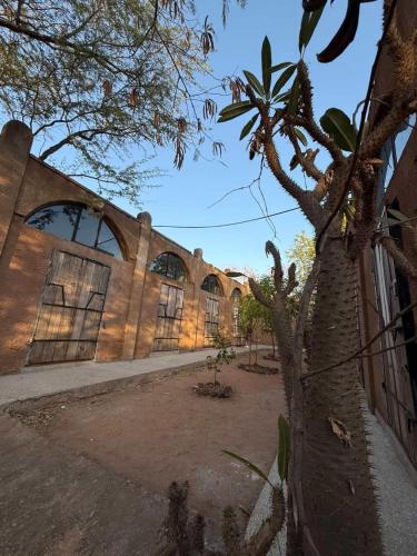 Nougouranch in Toubab Dialao