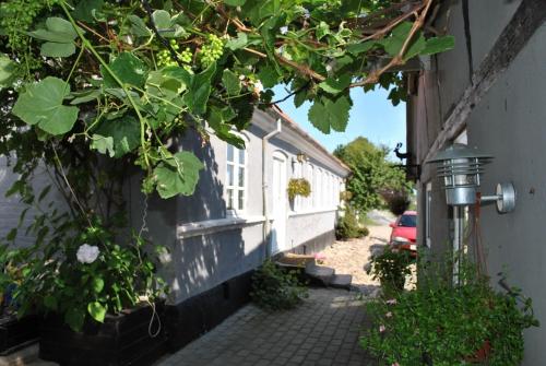 Vejskrækgården - image 13