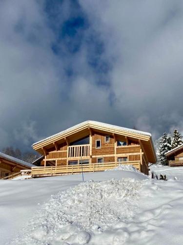 Charming new chalet in Praz-sur-Arly