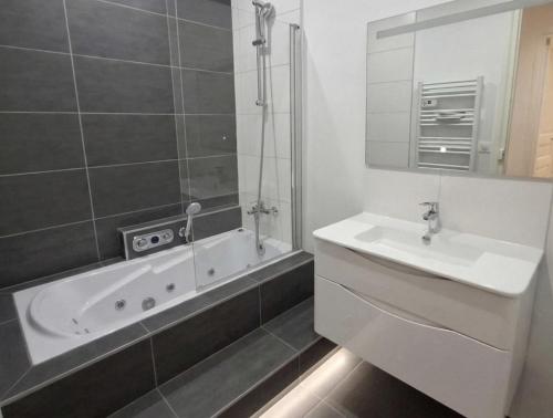 Appartements Montaigne Alma - image 4