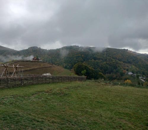 Tuvākā izklaides vieta, Cabana Antonia&Cristian in Valea Manastirii