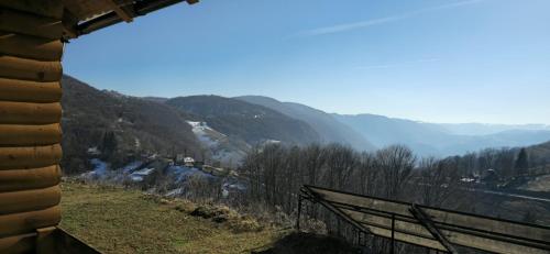 Skats, Cabana Antonia&Cristian in Valea Manastirii