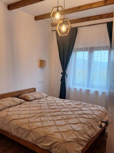 Cabana Antonia&Cristian in Valea Manastirii