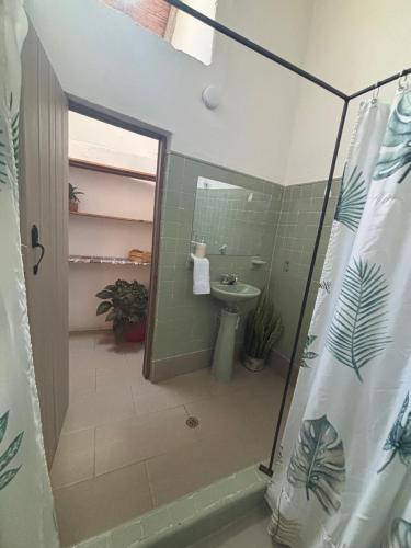 Hostal Casa Tyba - image 3