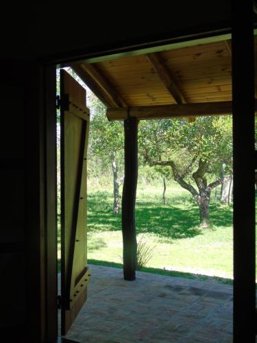 Ibera Pora in Colonia Carlos Pellegrini