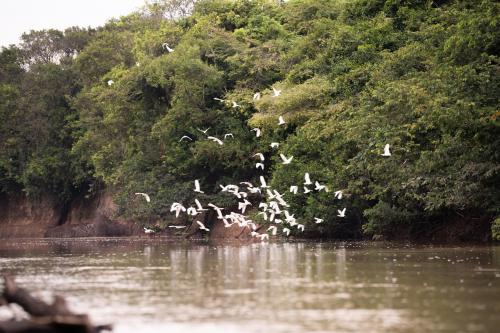 Atpūtas iespējas, El Turpial Reserva Turistica in Orocué
