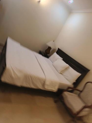 The Aristocrat Residency - image 14