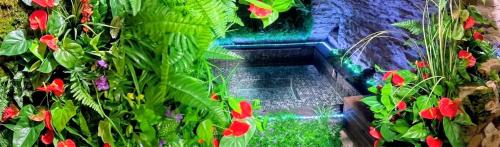 Loft Spa Prestige gîte à louer Verdes