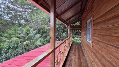 Greenhouse in Isla San Cristobal