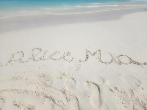 Alice Apartments, Mamaia